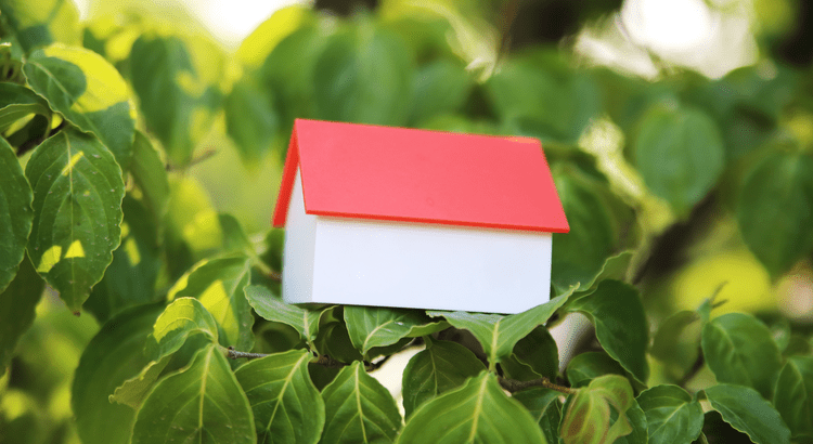 Foreclosure Numbers